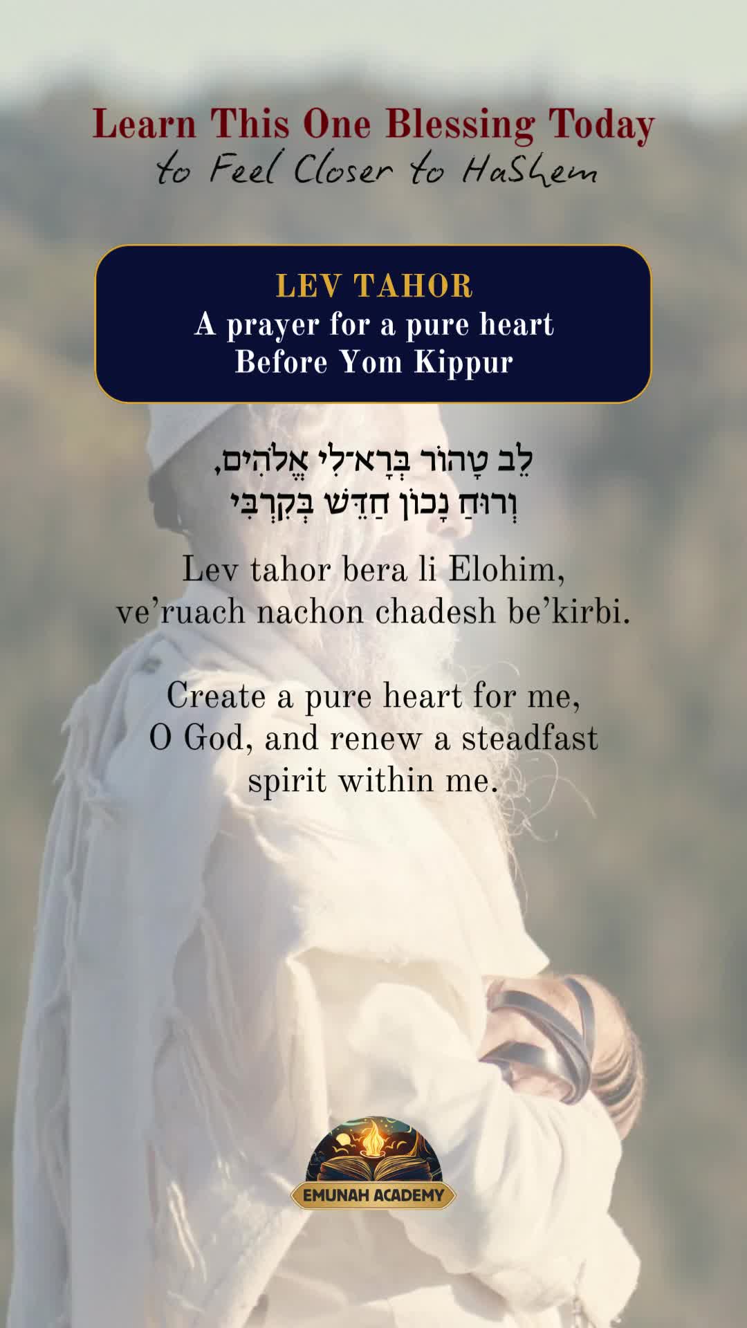@Rav Dror