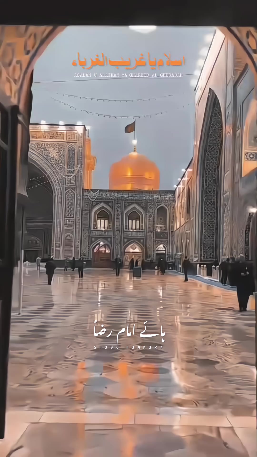 @🕊️SHaBo__HaMdarD🤍🚩