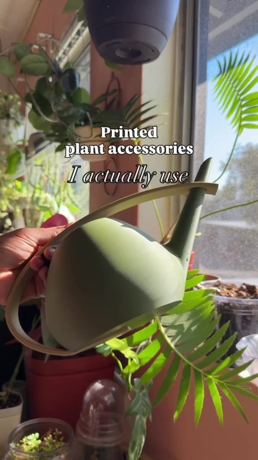 @Plants_it’savibe