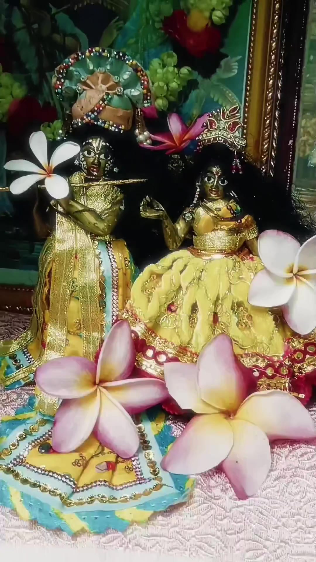 @Nayon Saha