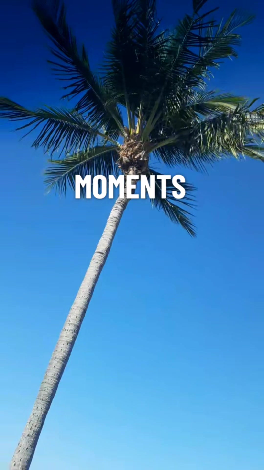 @philgeddes04