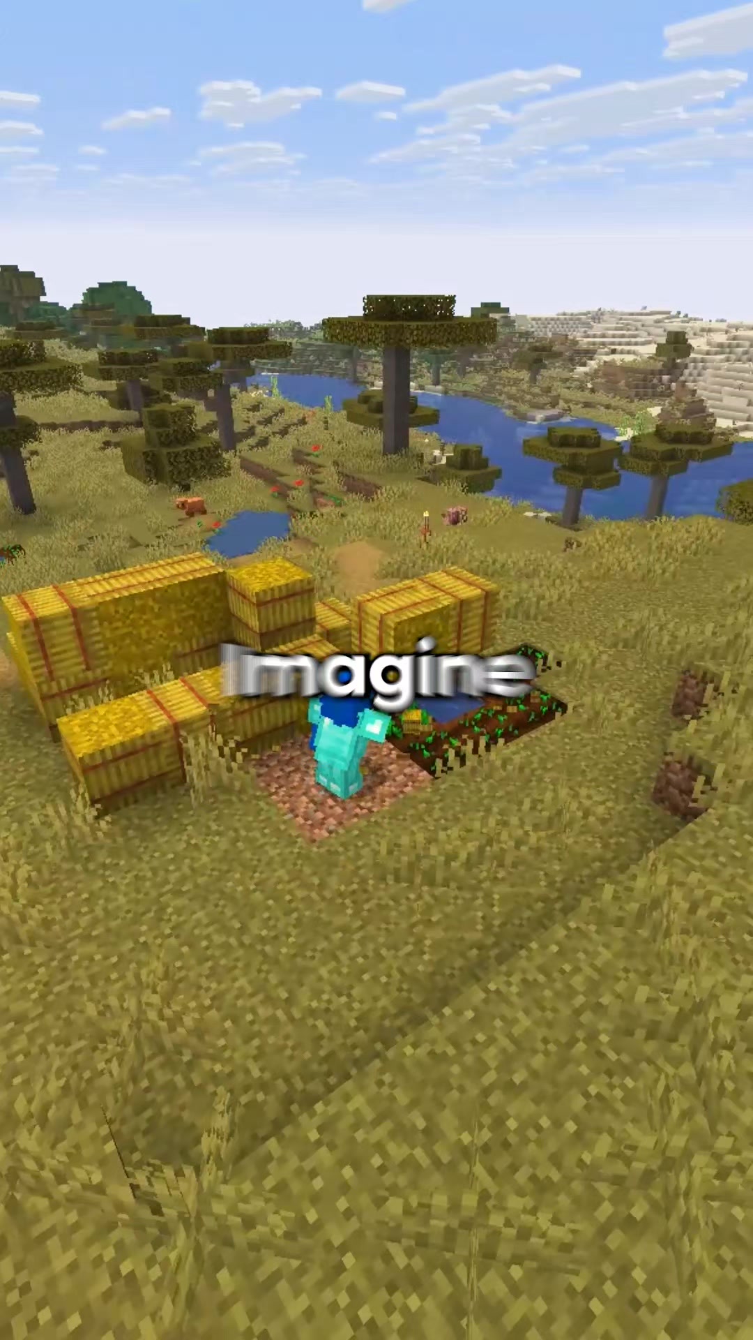 @RageMC
