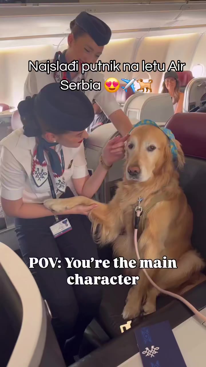 @𝓒𝓪𝓫𝓲𝓷 𝓒𝓻𝓮𝔀 𝓛𝓲𝓯𝓮✈️