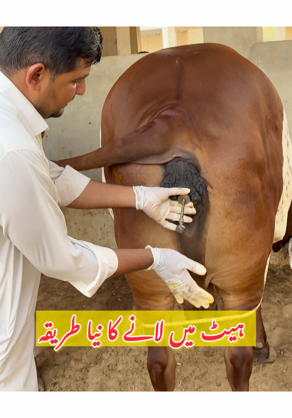 @Dr.Mohsin