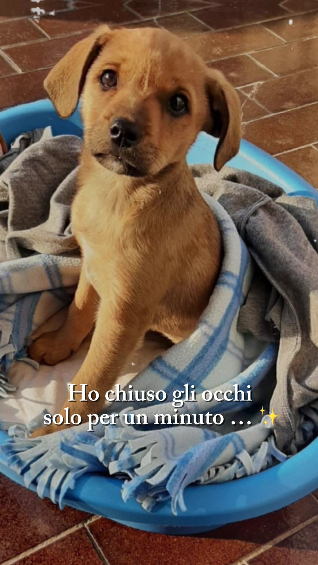 @Stefano