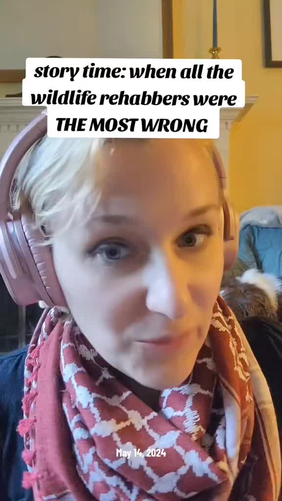@TheJungleNook