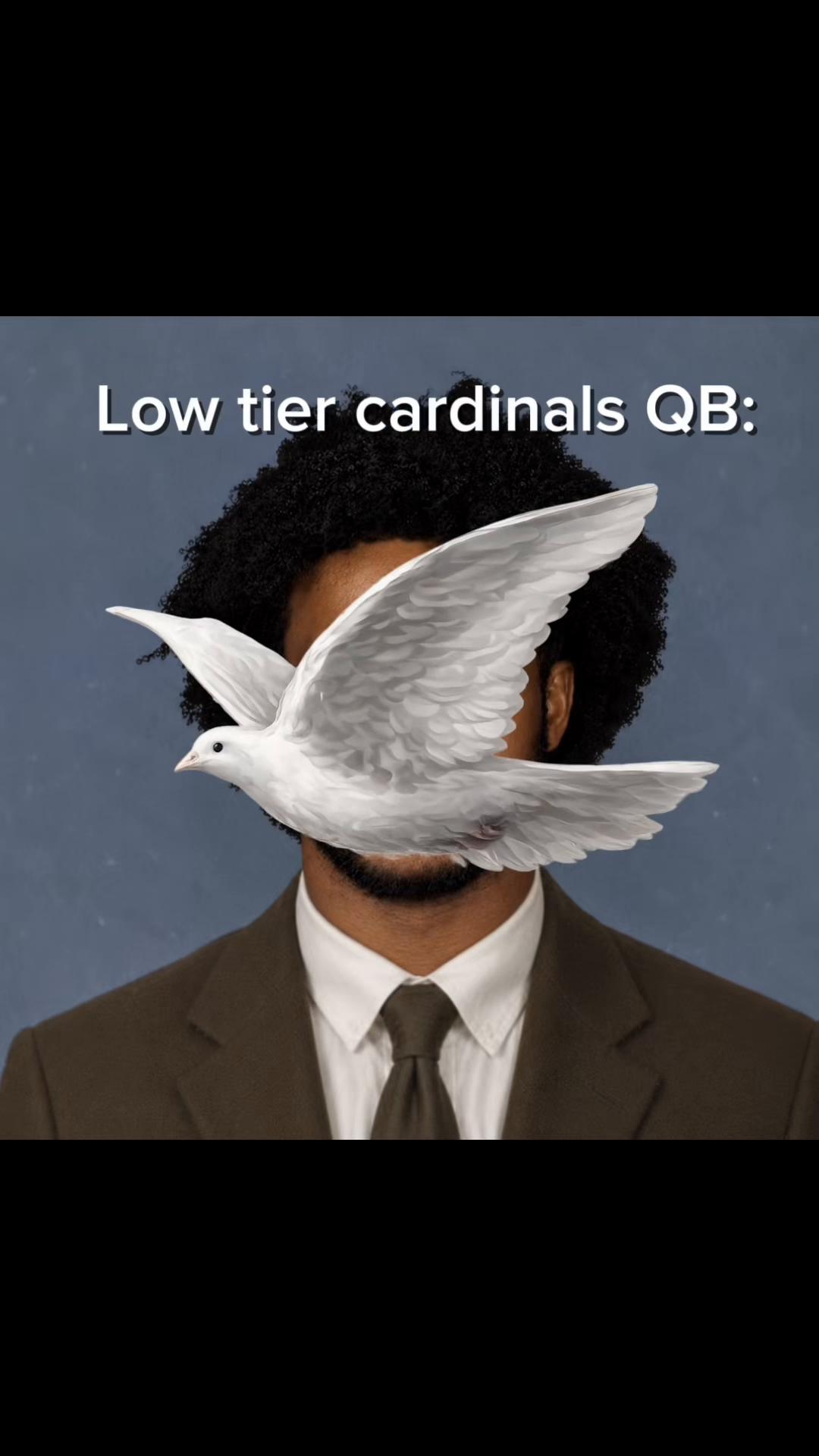 @Birds