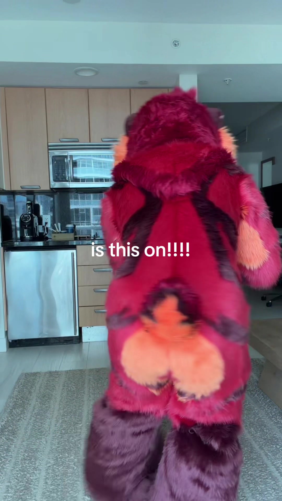 @UrsoFax