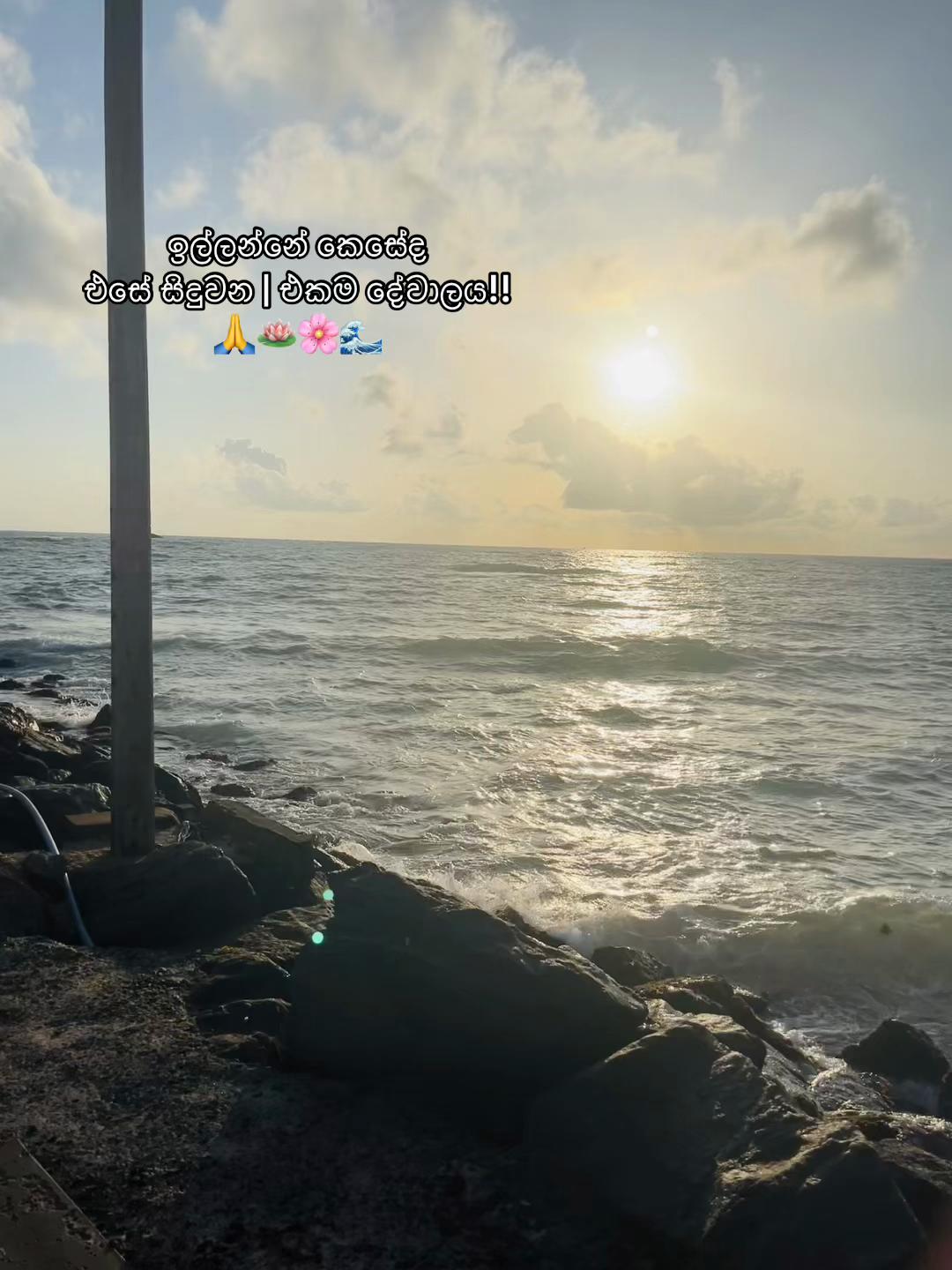 @🦋🐣චූටී_🇰🇷♥️다루시🧿🧚♀️🐾🖇