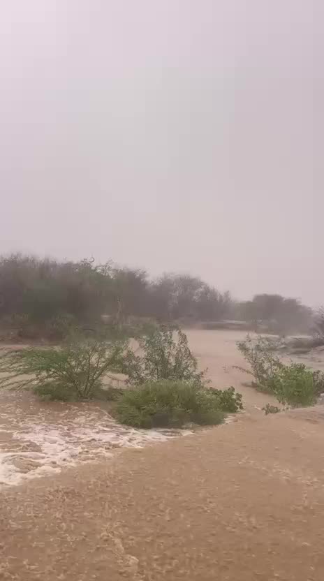 @آبووسآم برق آلَساحل⚡️⛈️