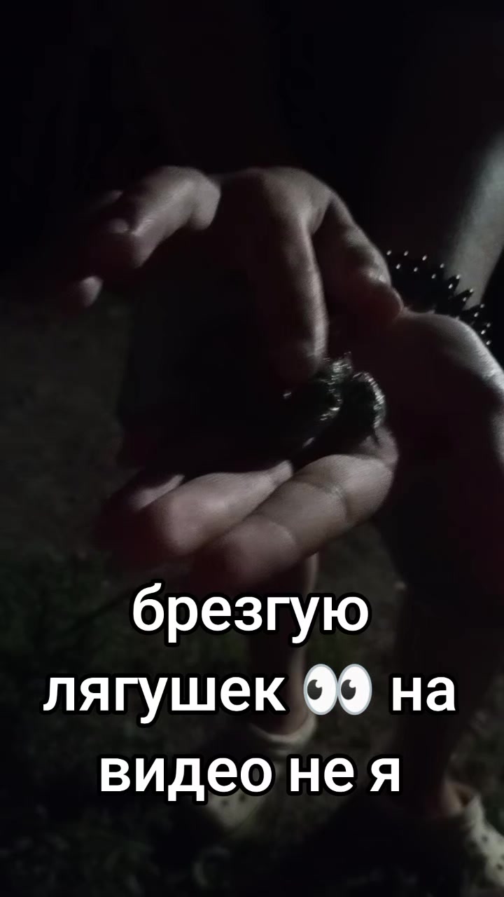 @user278533368490камета