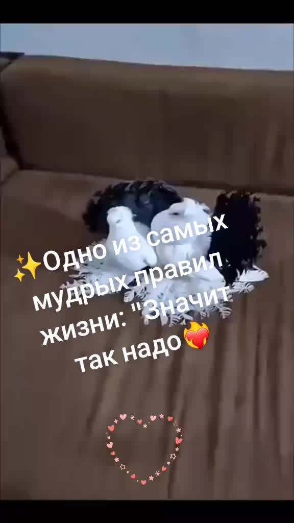 @⚜️🇮🇱Karin🇦🇿⚜️