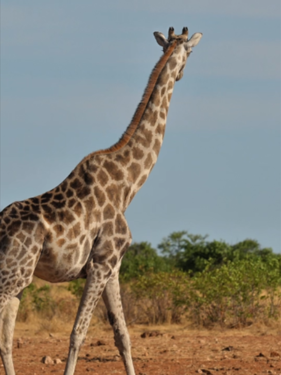@Madbookings Travel Namibia