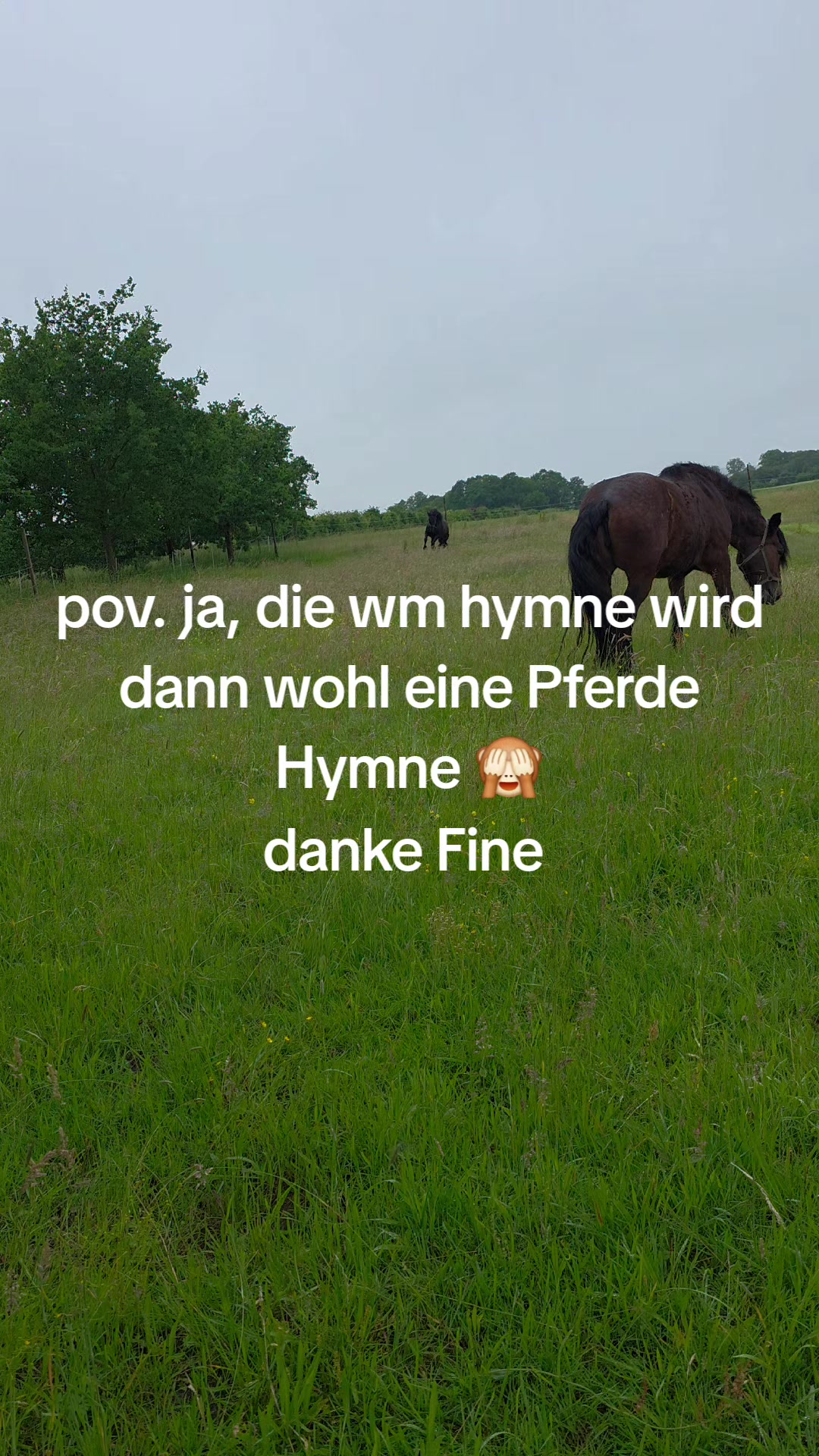 @die_van_fresserinchens
