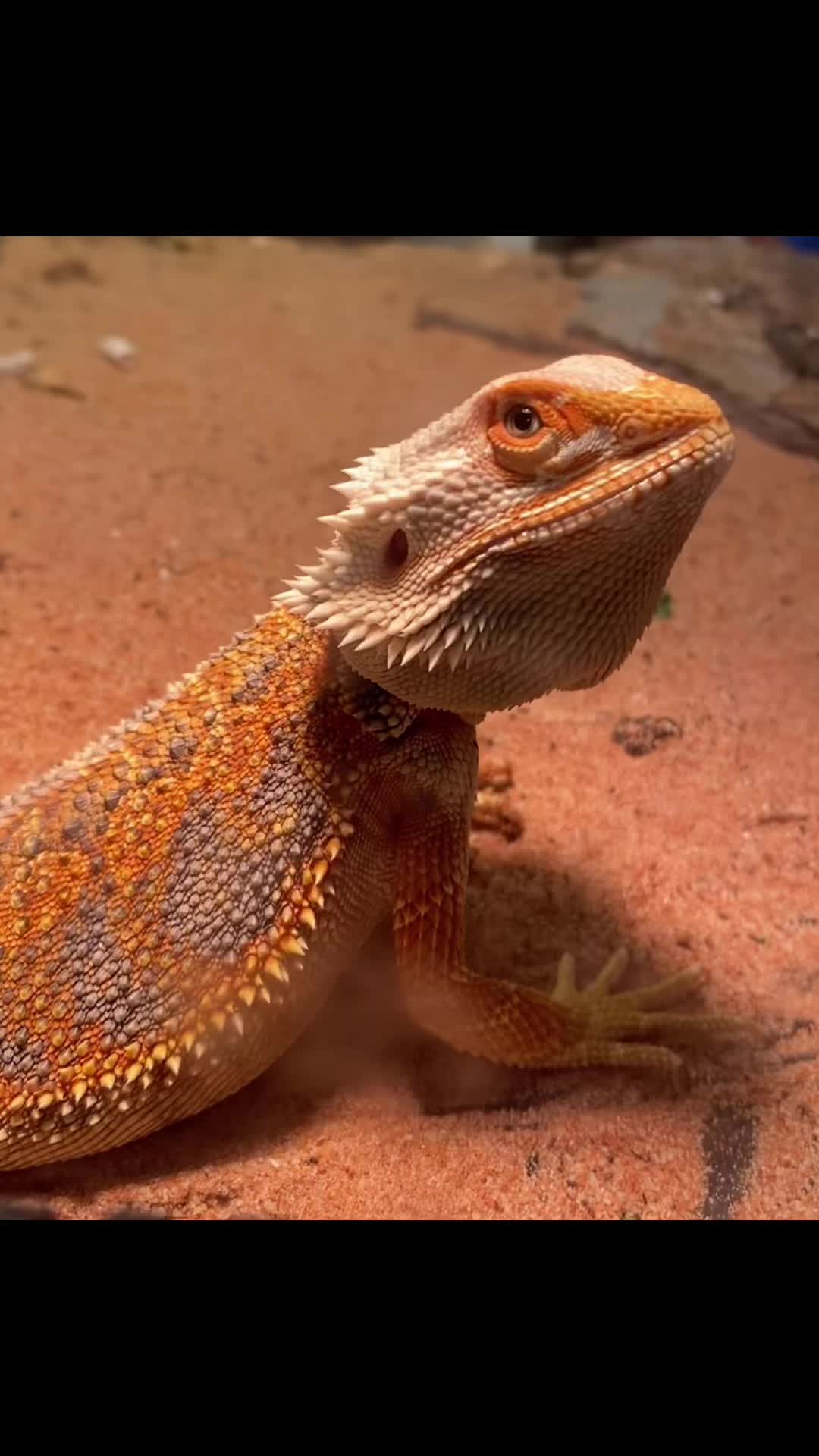 @❌Marla❌