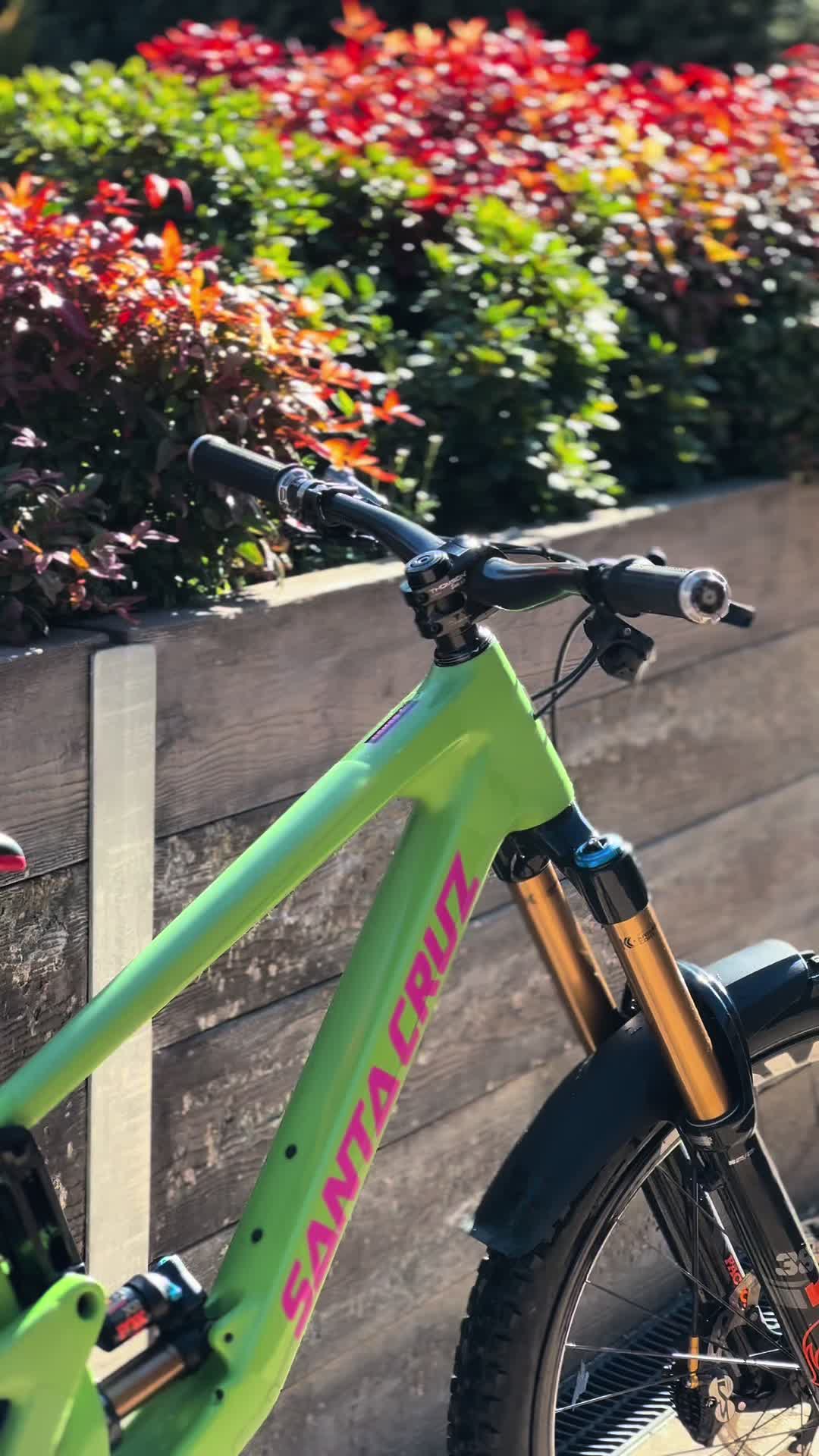 @Stewart.115