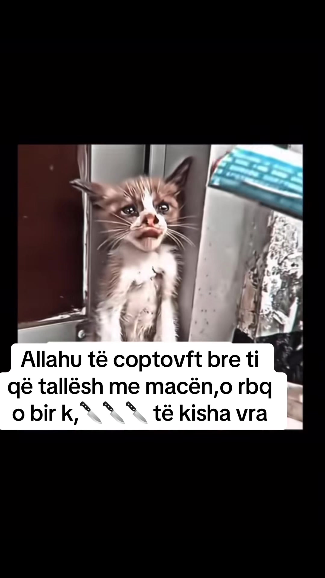 @Vdes per këto te dyja😻😻
