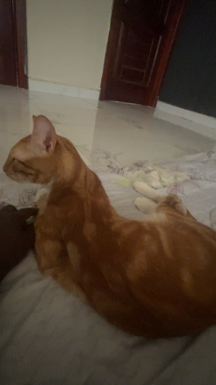 @Nana Ekua Papabi