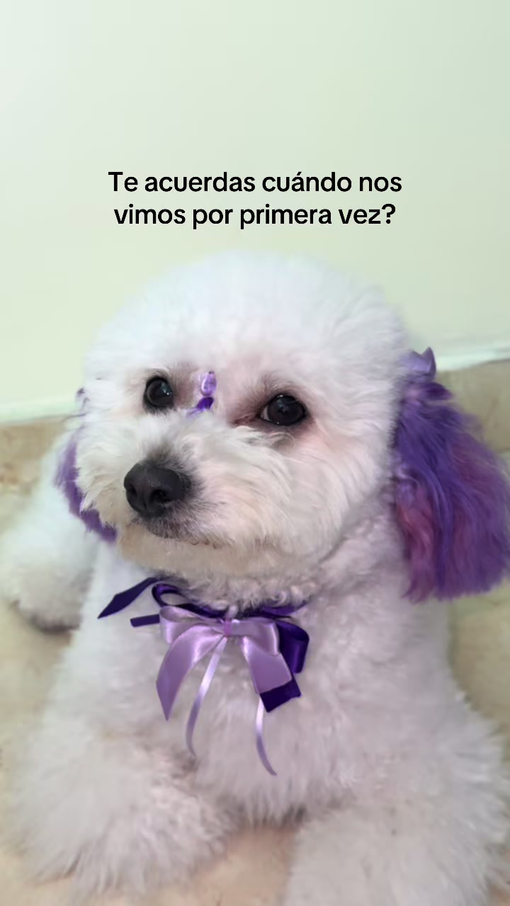 @𝓙𝓾𝓵𝓲𝓮𝓽𝓱 𝓲𝓼𝓪💜