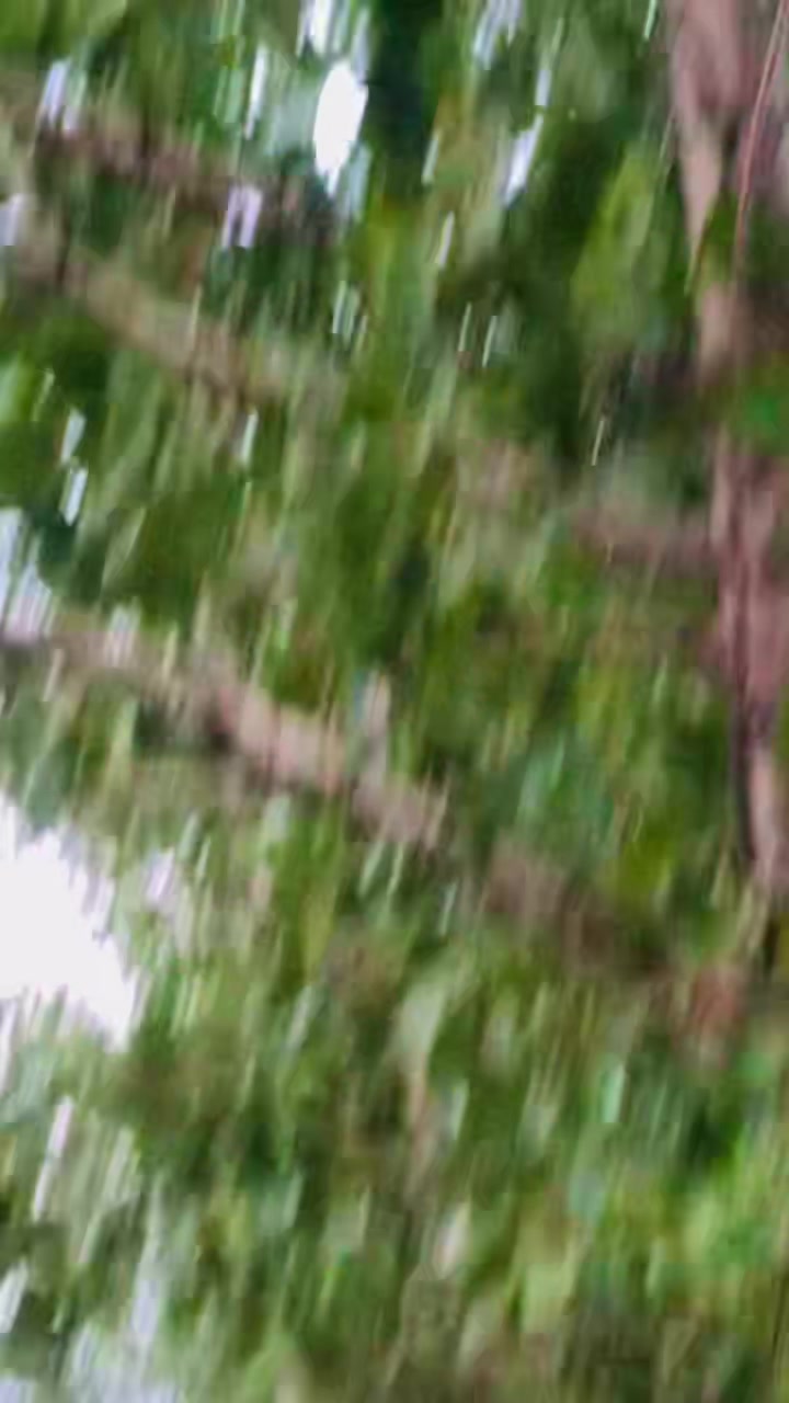 @* 🦅 S&acirc;&Icirc;d  &Aring;&ntilde;W&acirc;ر 🦅*