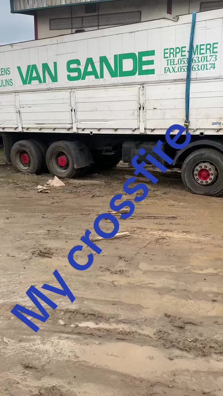 @Yanktrucker and partner LTD