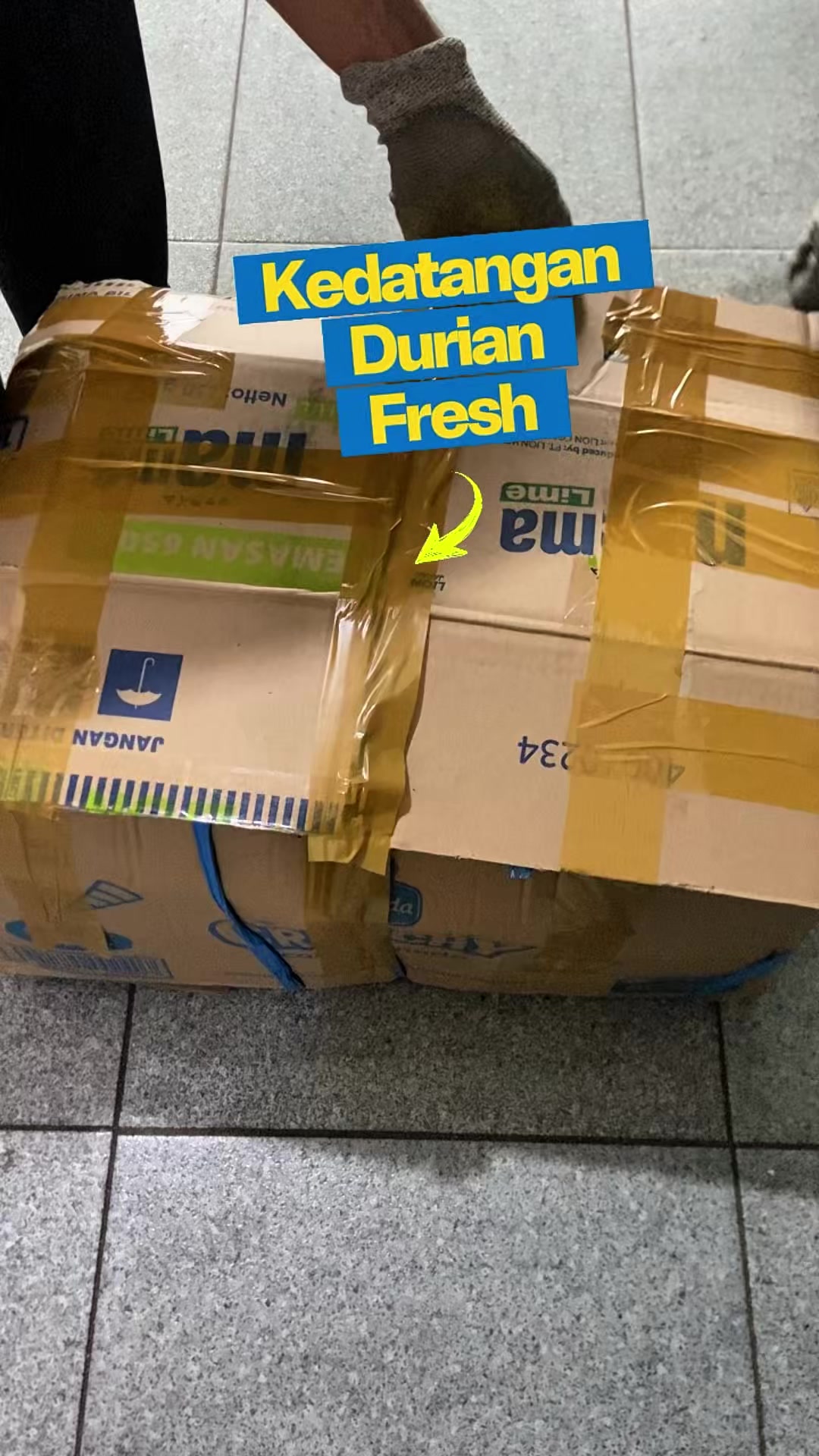 @CICIP DURIAN