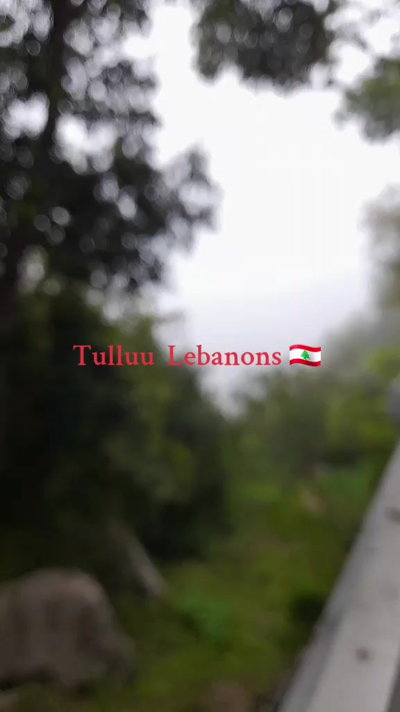 @masi hadhaa Tsiyoon