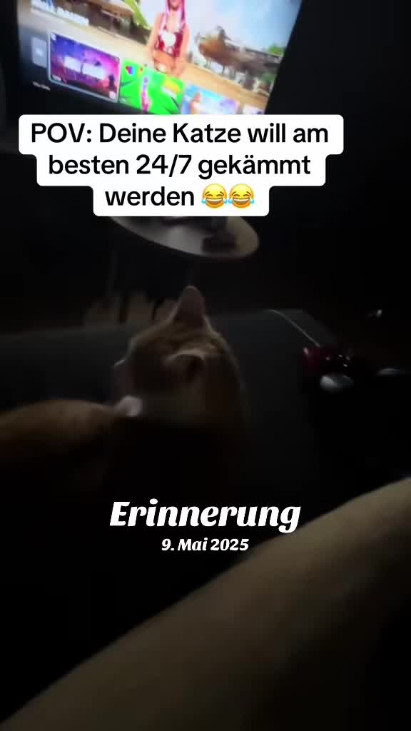 @Misses🖤1986zig🖤