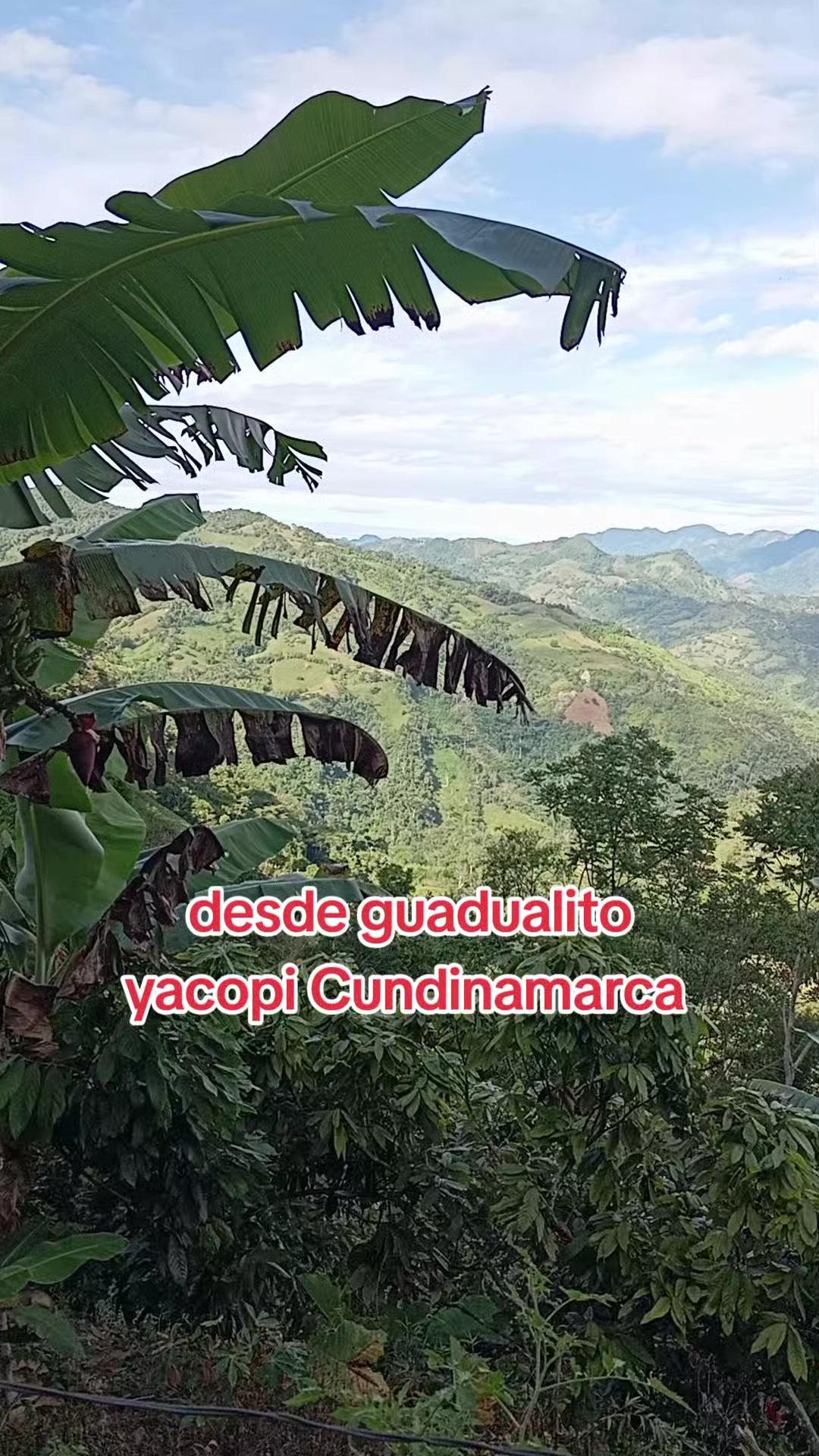 @Geovany santos