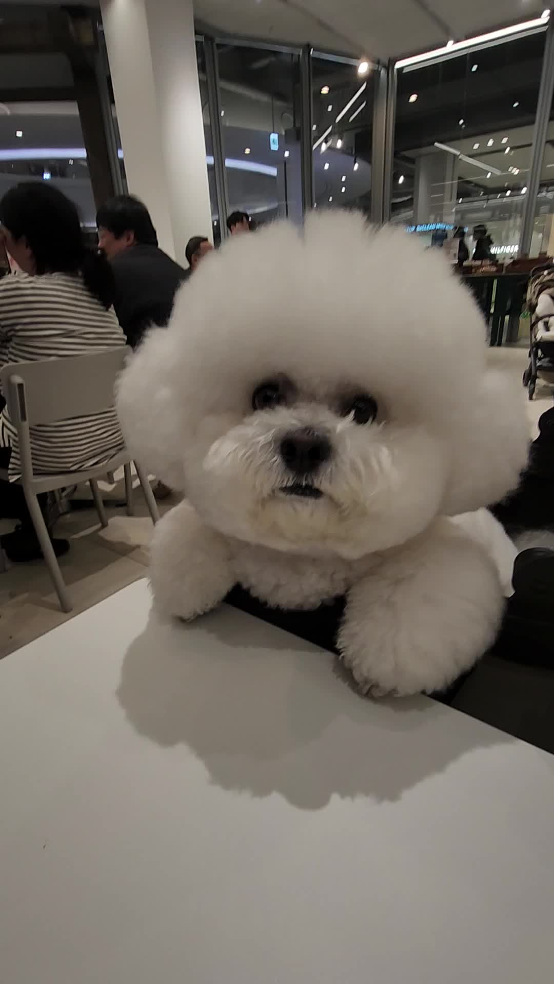 @다산엄마