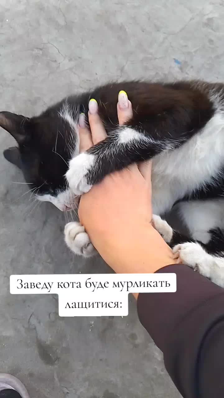 @🪐Viktоria💕 Olexandr☄️