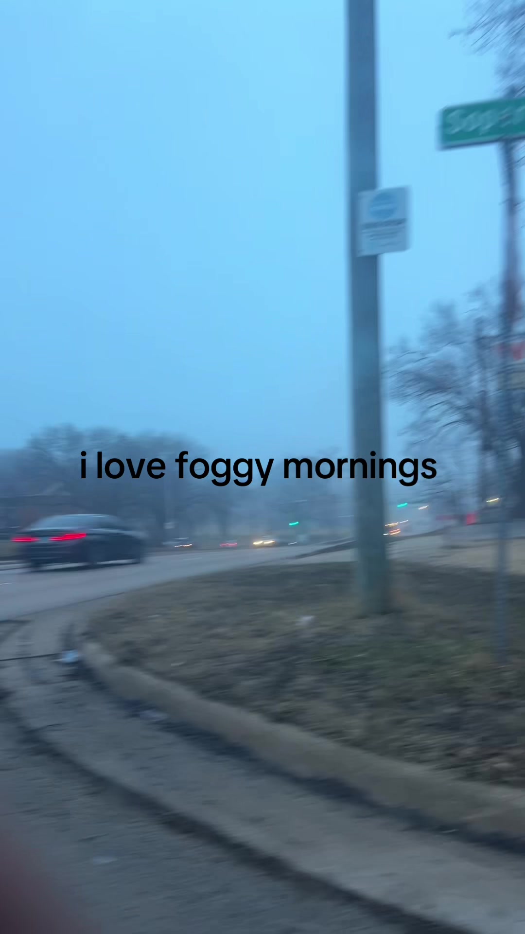 @˙𐃷˙