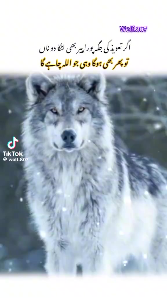 @Akhtarkhanu786