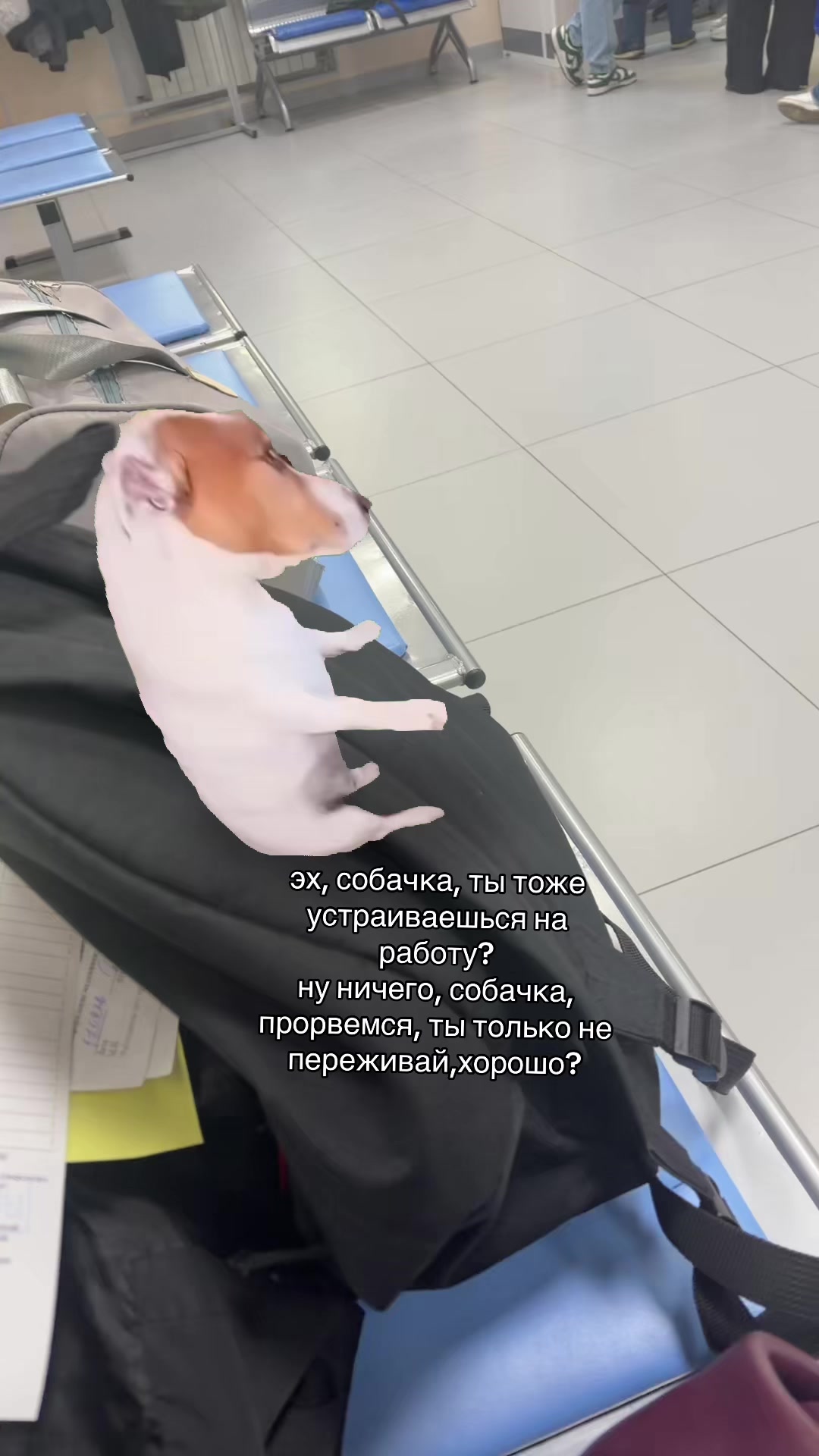 @тгк: Василина Блина