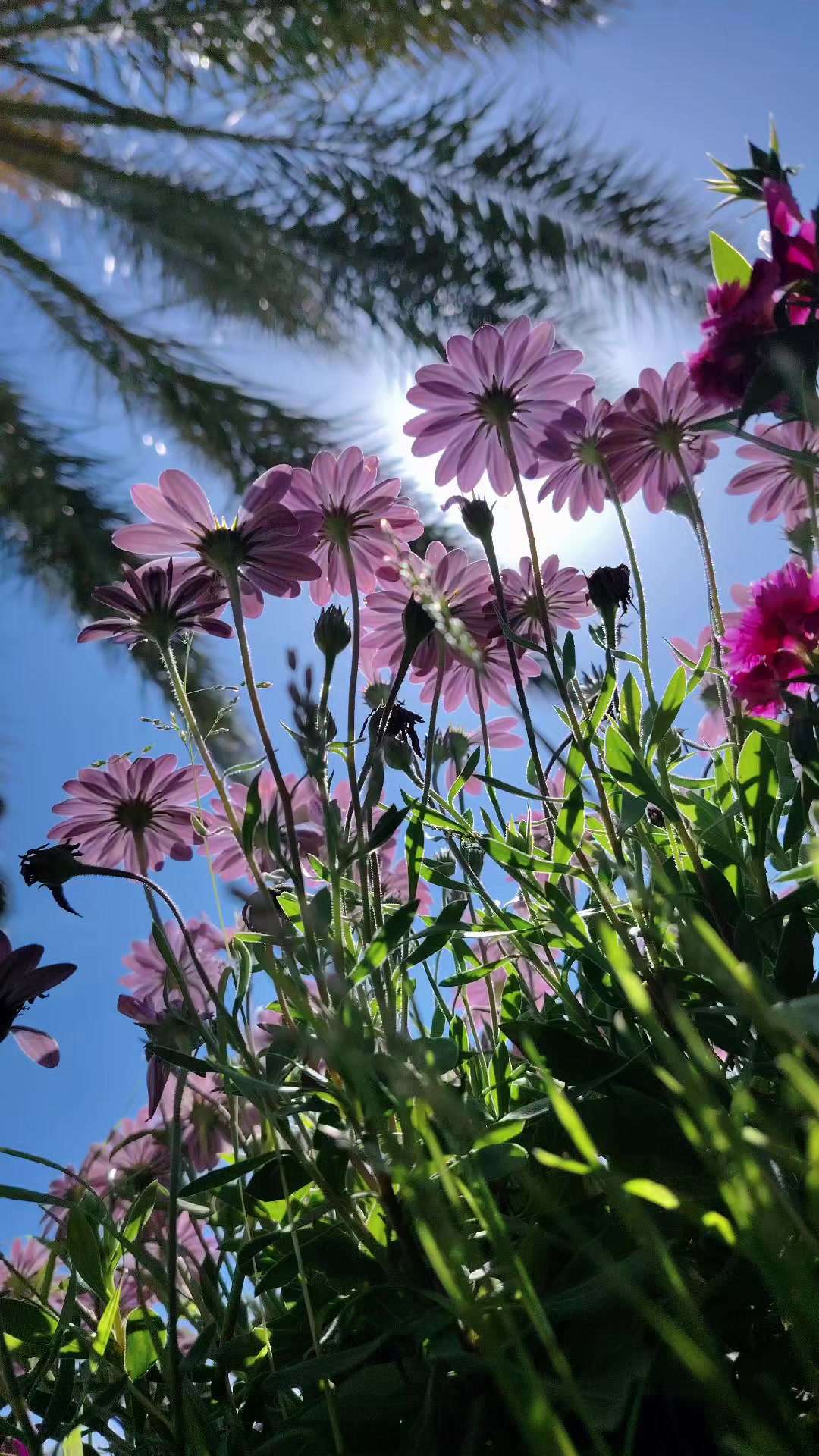 @عطور مكة