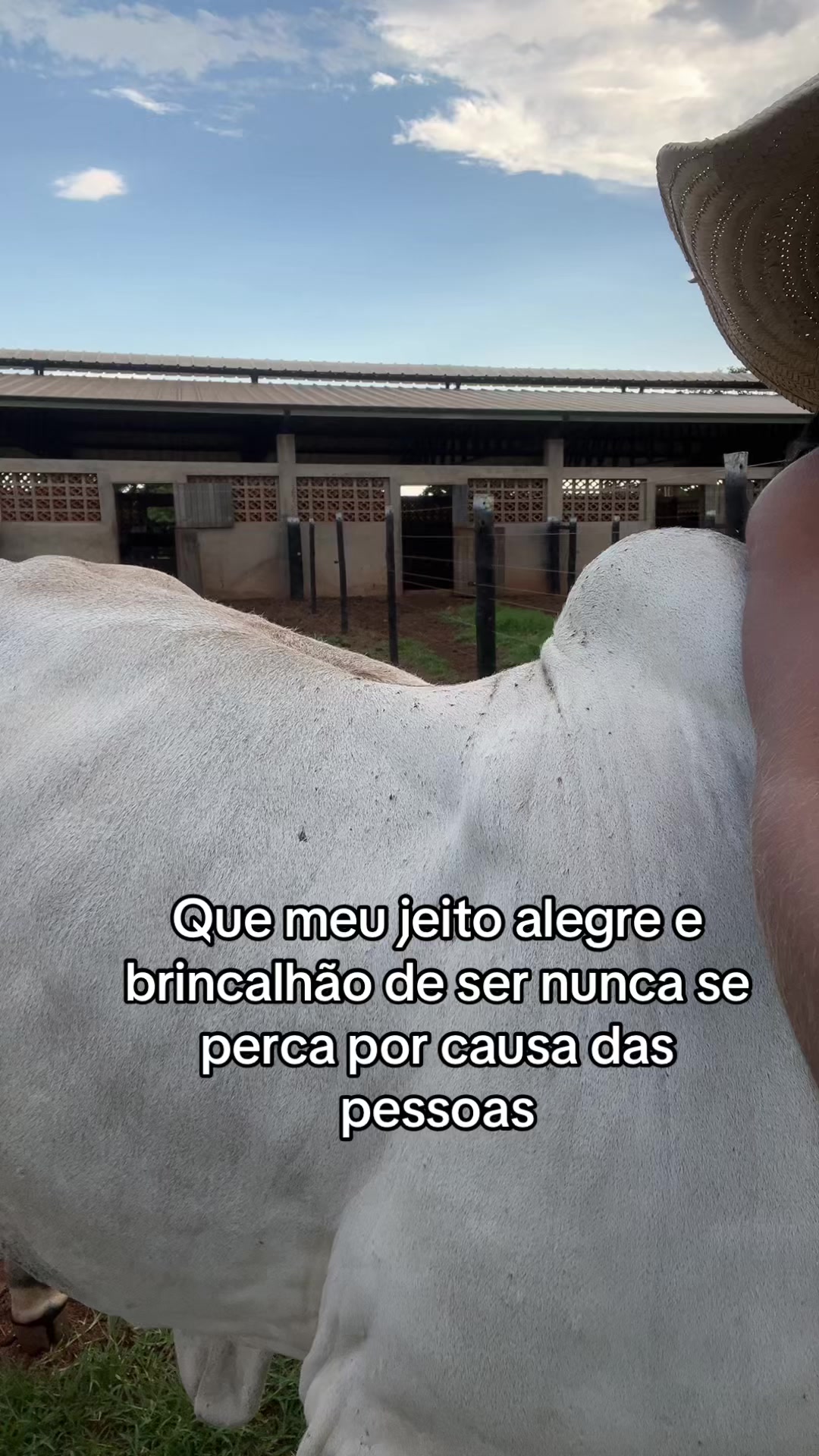 @Mara_Boidadeira
