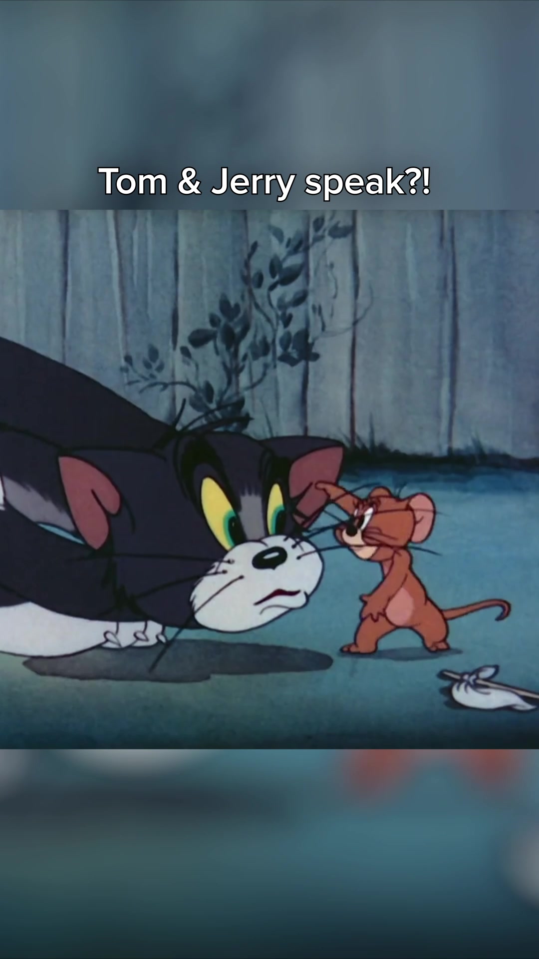 @Tom and Jerry
