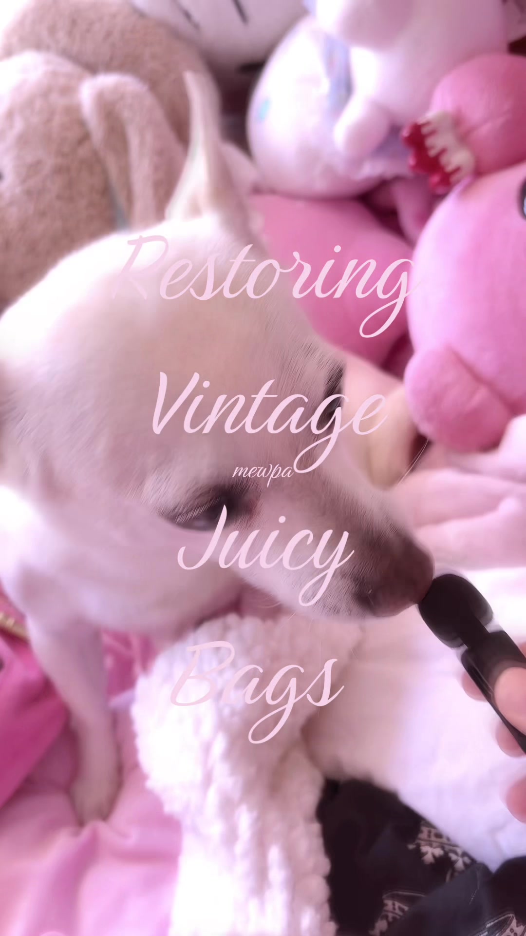 @₍˄. ̫.˄₎🎀🩷