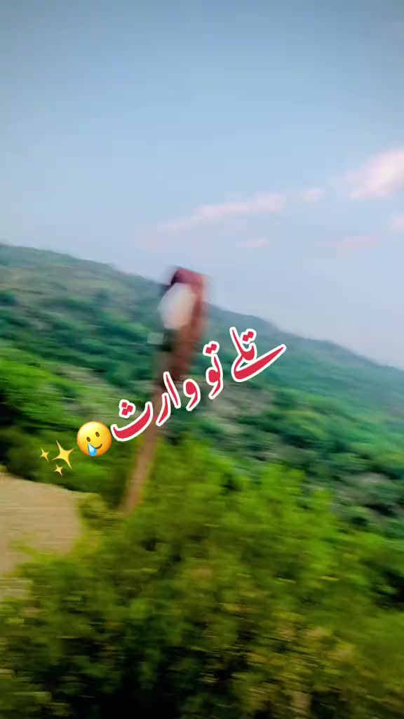 @✨🦅دلاورٹوانہ ہڈالی آلہ🦅✨