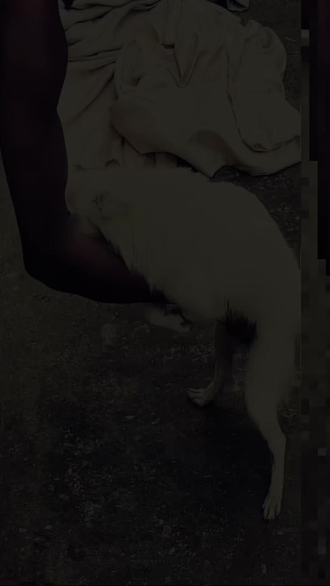 @👑𝓚𝓲𝓷𝓰_𝓐𝓵𝓿𝓪𝓱🐺🥀
