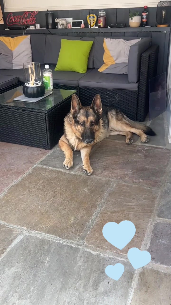 @Sash🐾💙and Mel