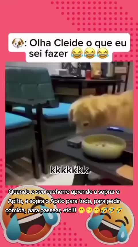 @Marcos Sarinho