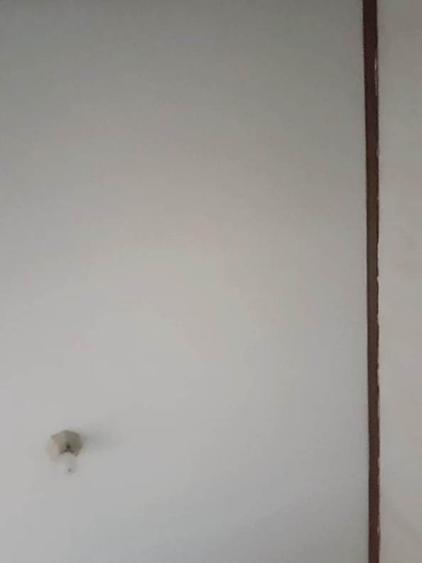 @𝙇𝙖𝙧𝙖𝙨