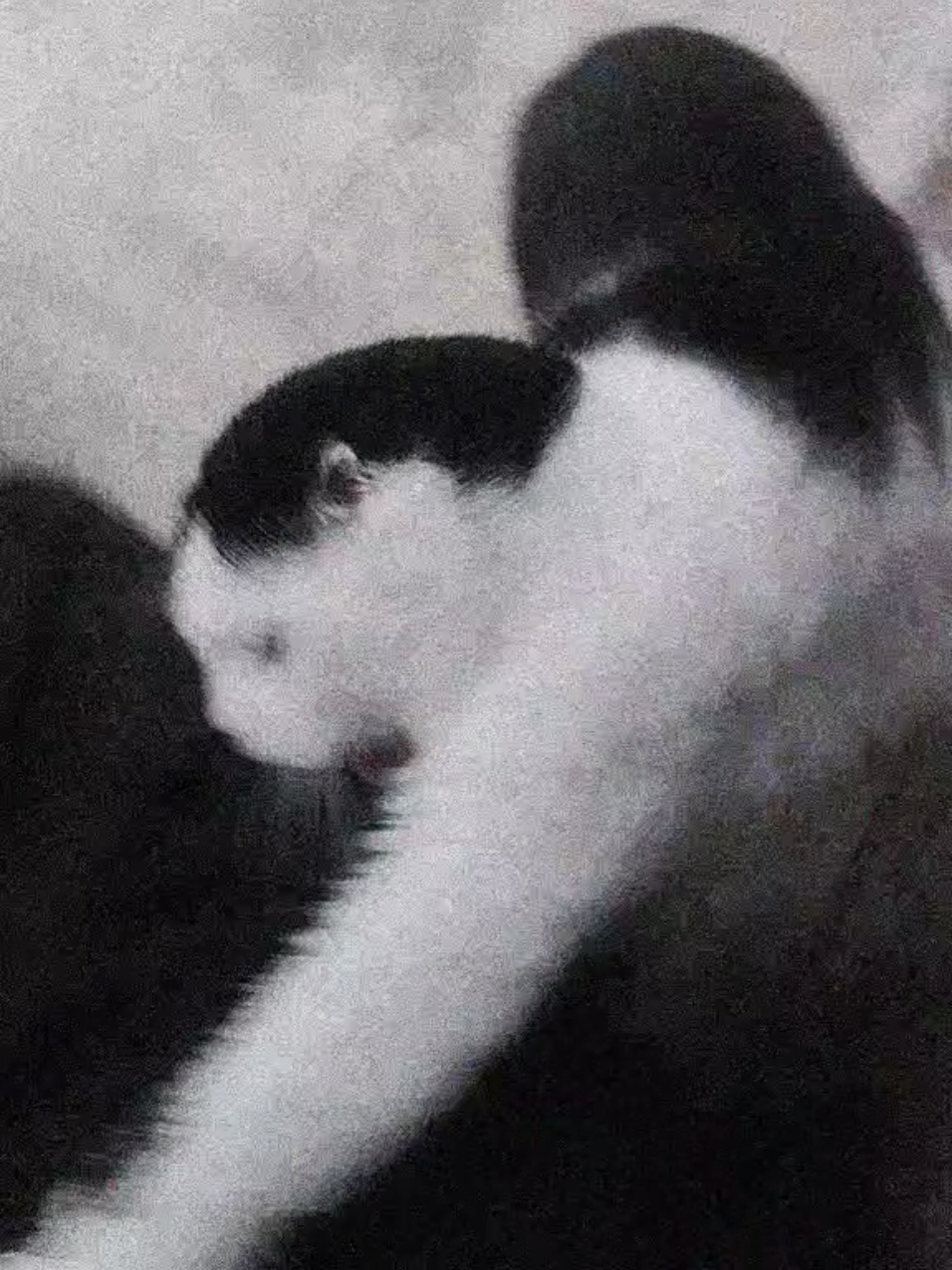 @•мёртвый рассвет•