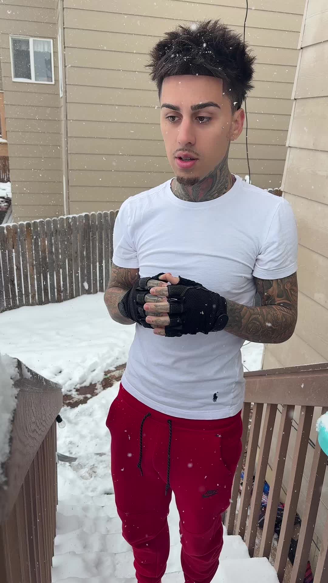 @954enzo