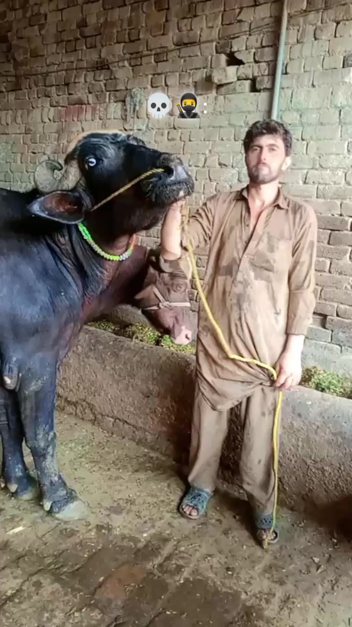 @SUDAIS KHAN 🚩🚩🚩