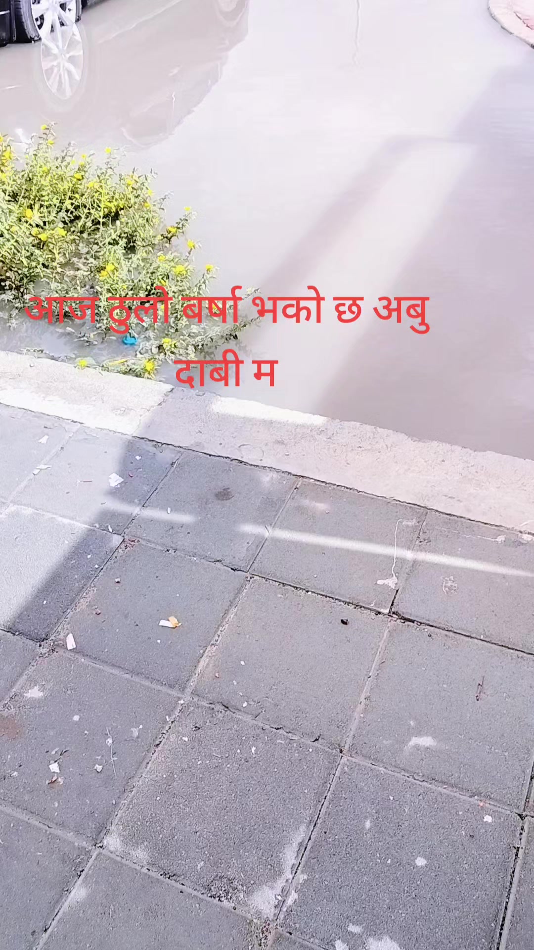 @Arjunb