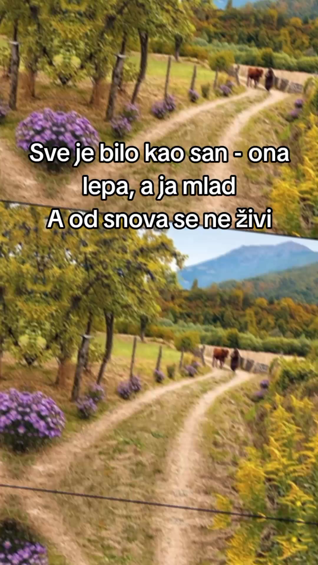 @klavijaturista