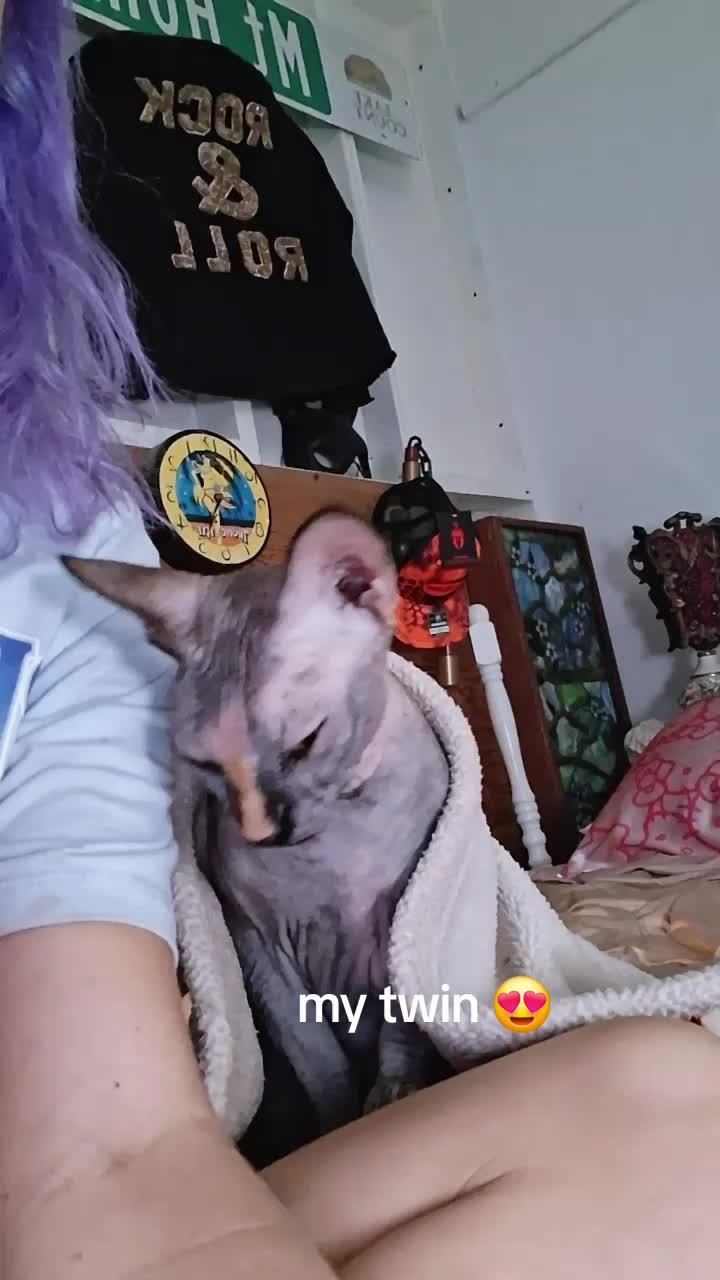 @blankface