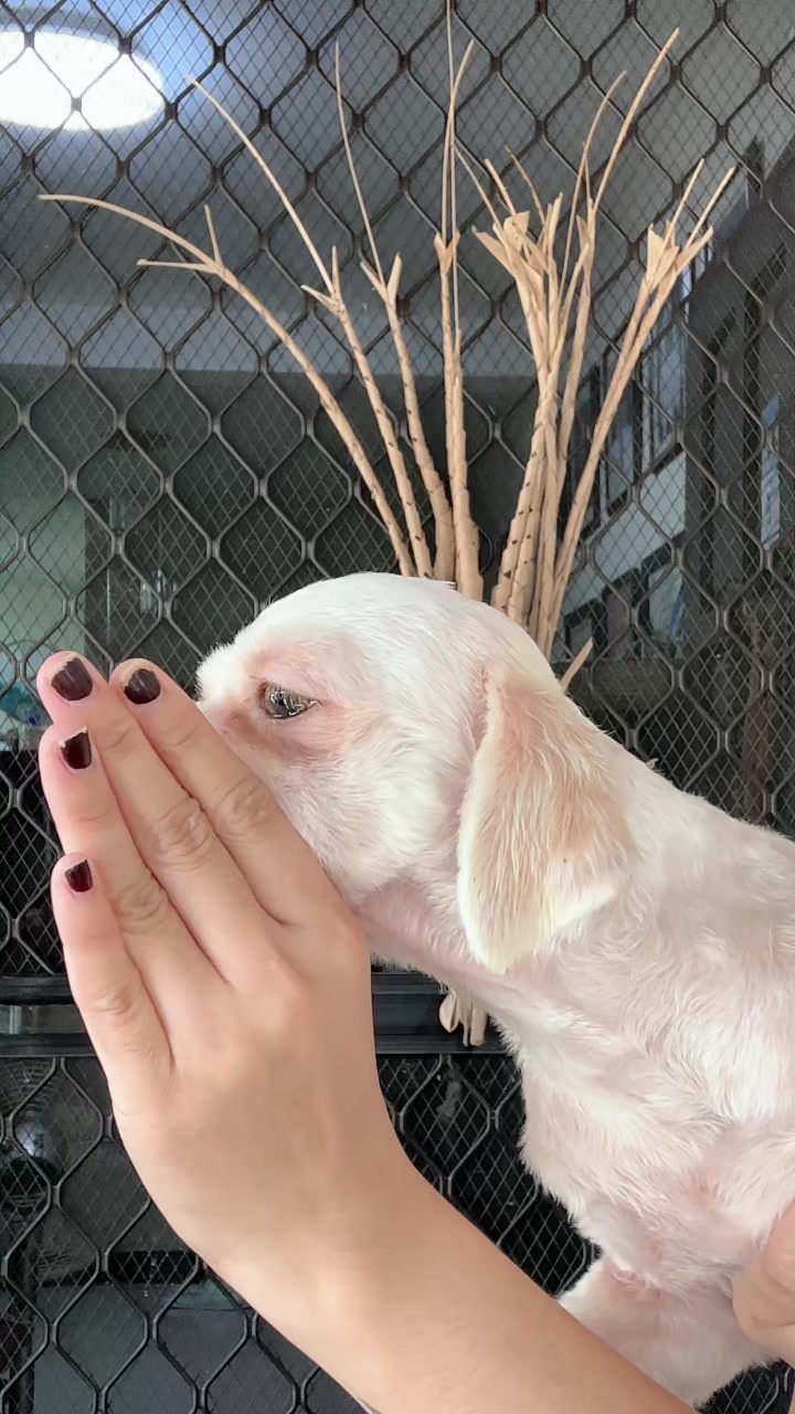 @Liyaaang